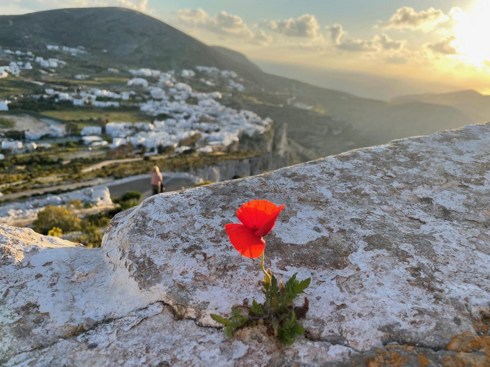 Folegandros-Cliffhouse Villa Exterior foto